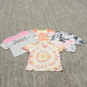 Various Brand Crop T-Shirt Bundle